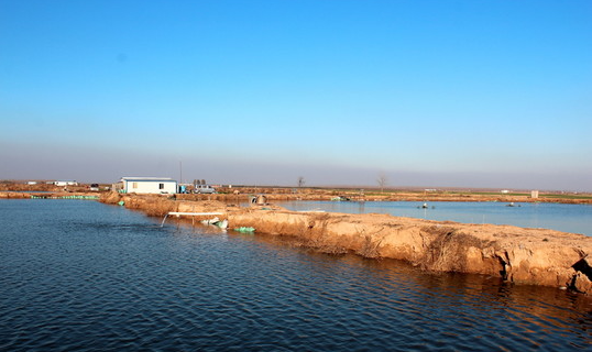 深冬池塘管理及越冬综合征预防指南