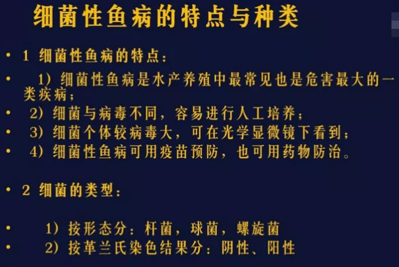 鱼虾白头白嘴、败血症细菌性疾病如何防治