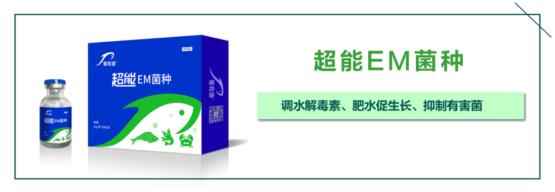 图片 2.png