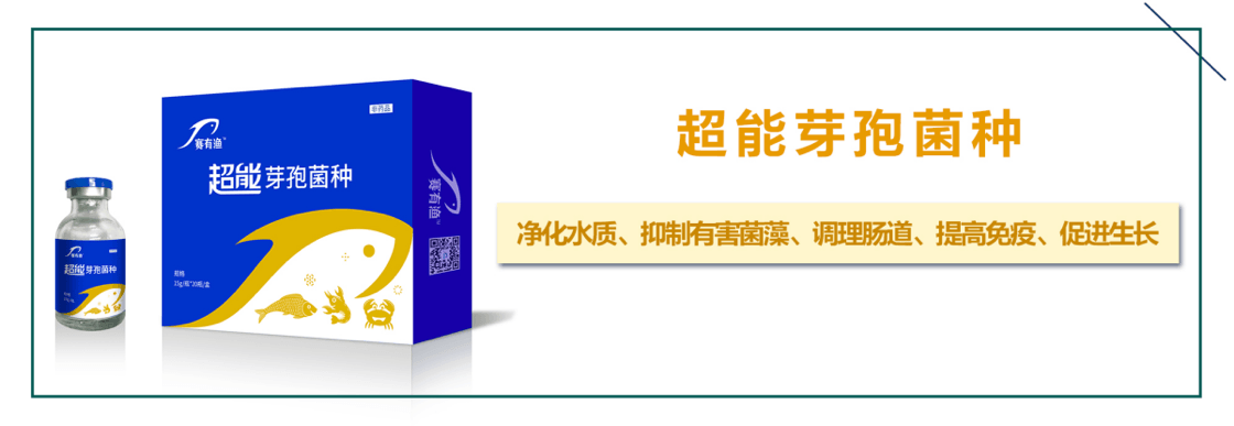 图片 3.png