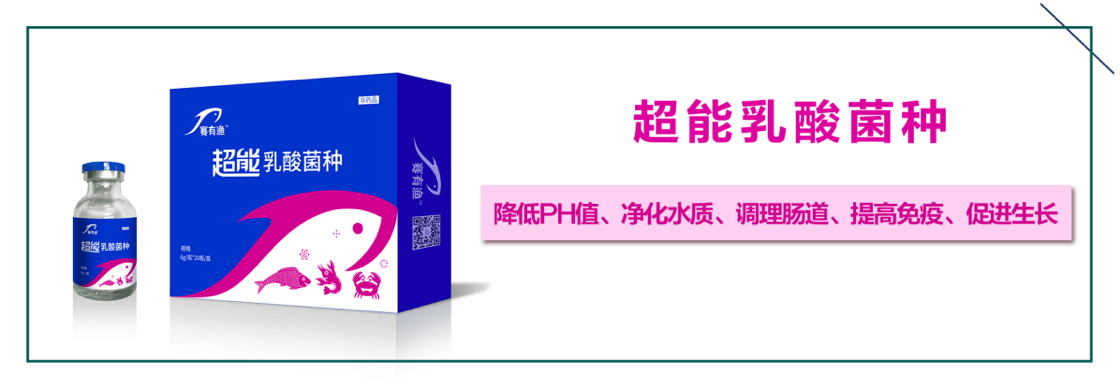 图片 4.png