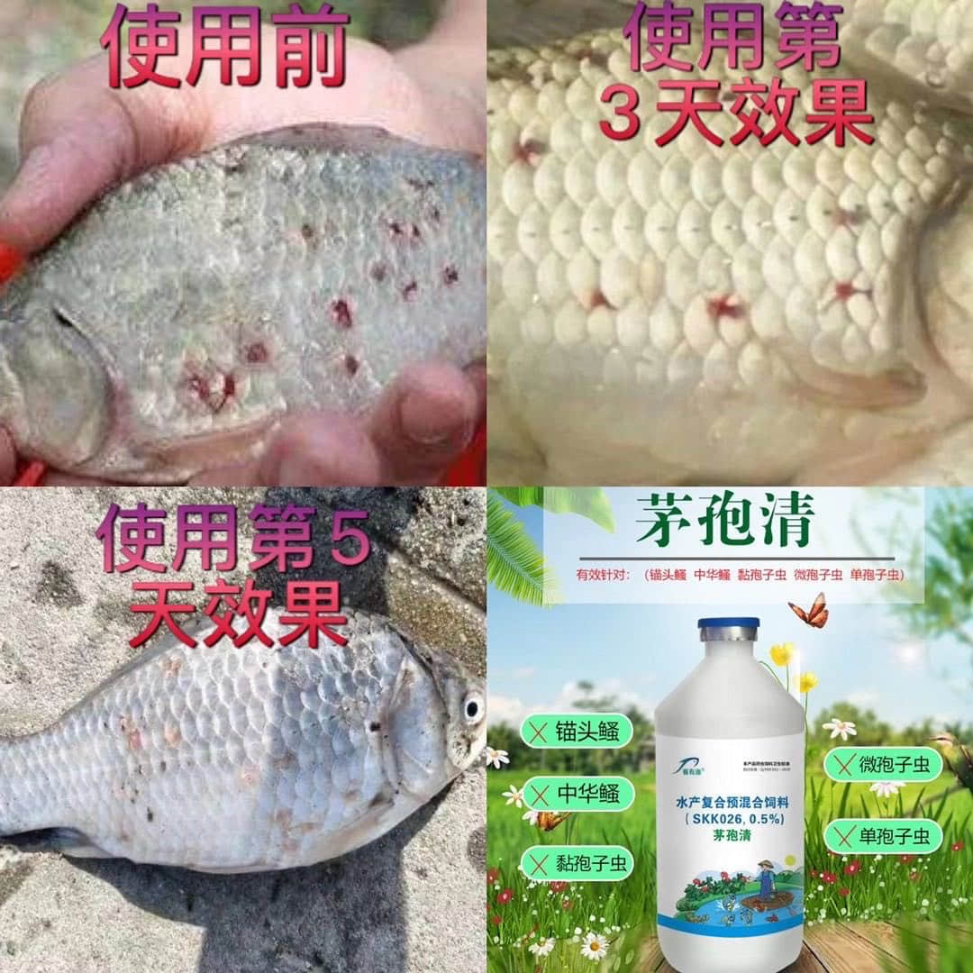 使用前后对比.jpg