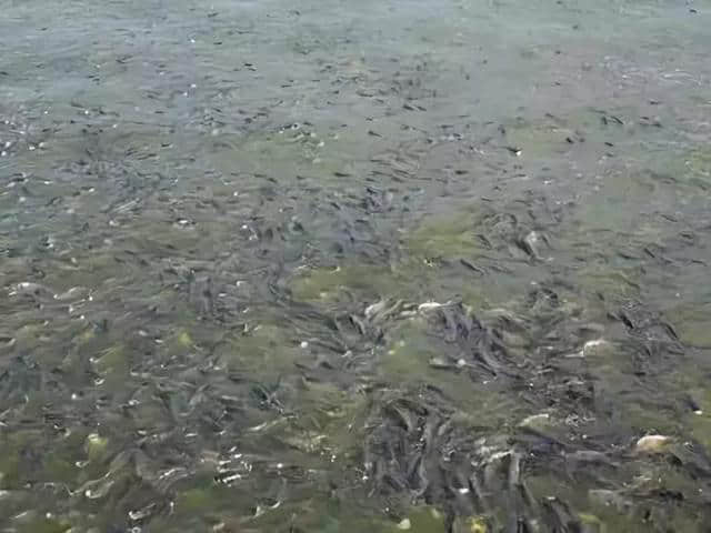 3153c215ad8e40e1b347911e0ef5aa0f.jpg