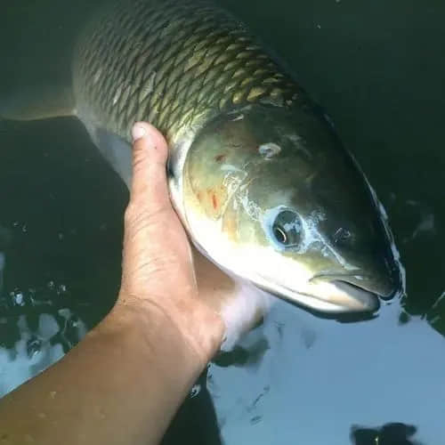 1619576914501443.jpg 26efbd917605014c8a88184b62ebdce1_u=4222644193,2591628620&fm=26&fmt=auto&gp=0.jpg