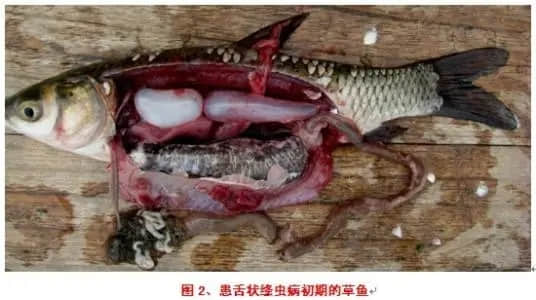 1619576928642967.jpg 71c3f0ba3caef35dc4ae5eaa9ba81f8d_u=1038694935,689240278&fm=26&fmt=auto&gp=0.jpg