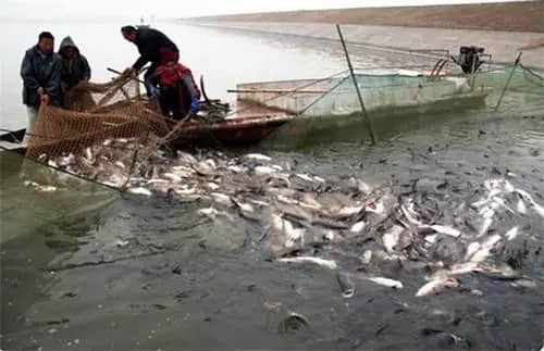 1619664008346247.jpg 960b365668b07ef2e23cd70f52c73de9_u=2557020048,1591709594&fm=26&fmt=auto&gp=0.jpg