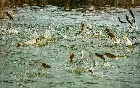 1619748374332447.jpg f0c2b8e694364679bf7e25079e244ee8_u=649137943,1729709593&fm=26&fmt=auto&gp=0.jpg