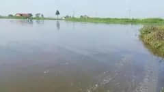 冬季寒潮对水产养殖可能发生的病害